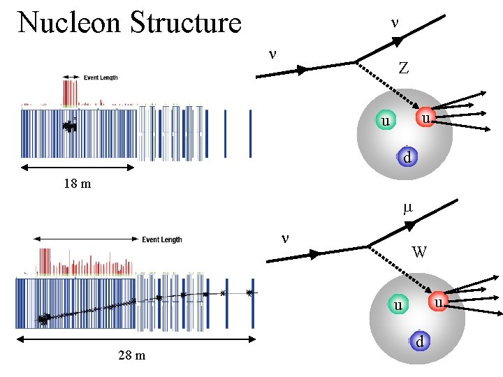 Nucleon Structure Z u u d 18 m m W u u 28 m