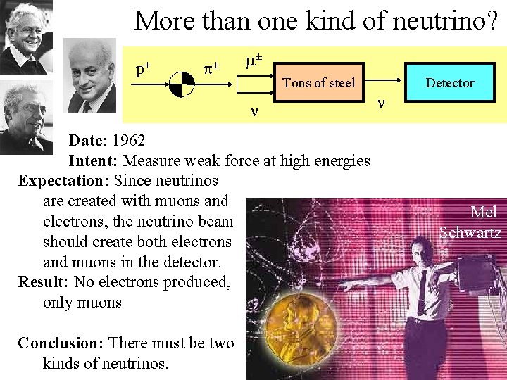 More than one kind of neutrino? p+ p± m± Tons of steel Date: 1962