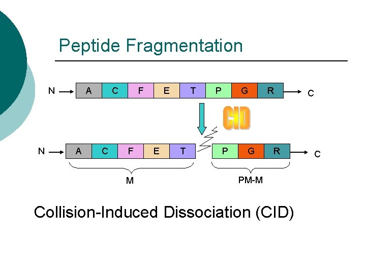 Peptide Fragmentation N N A A C C F F M E E T