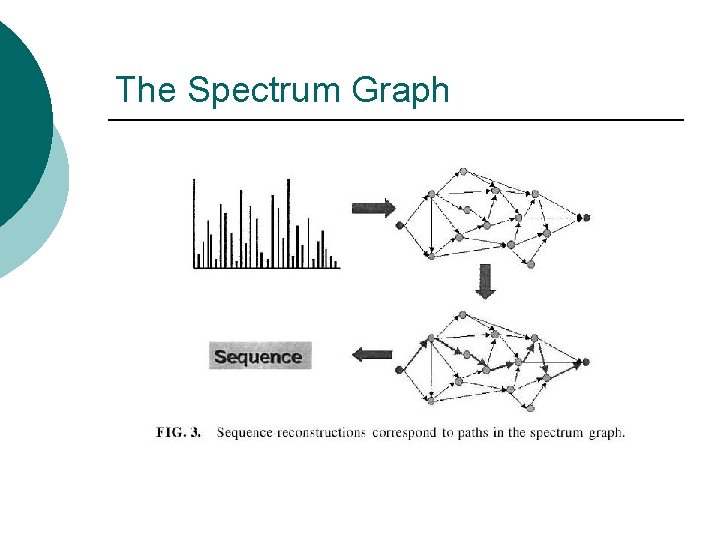 The Spectrum Graph 