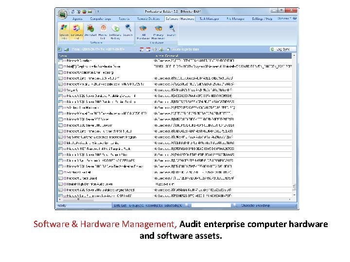 Software & Hardware Management, Audit enterprise computer hardware and software assets. 