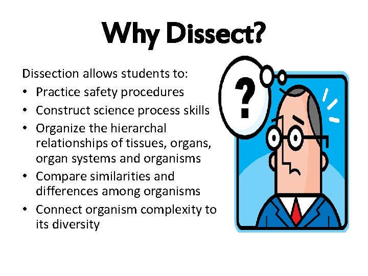 Why Dissect? Dissection allows students to: • Practice safety procedures • Construct science process