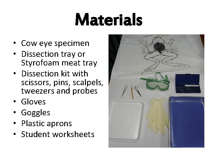 Materials • Cow eye specimen • Dissection tray or Styrofoam meat tray • Dissection