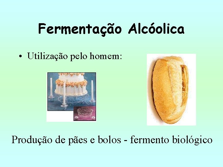 Fermentação Alcóolica • Utilização pelo homem: Produção de pães e bolos - fermento biológico