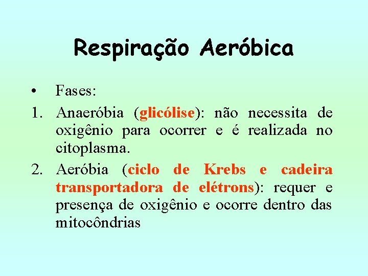 Respiração Aeróbica • Fases: 1. Anaeróbia (glicólise): não necessita de oxigênio para ocorrer e