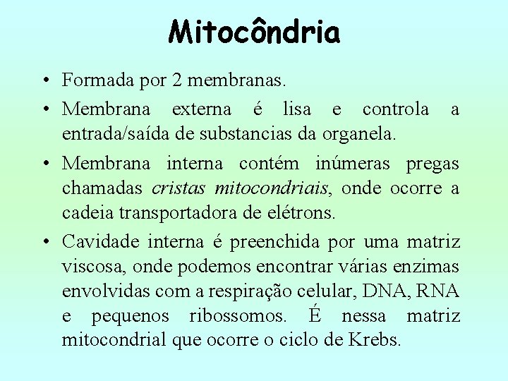Mitocôndria • Formada por 2 membranas. • Membrana externa é lisa e controla a