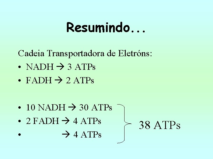 Resumindo. . . Cadeia Transportadora de Eletróns: • NADH 3 ATPs • FADH 2