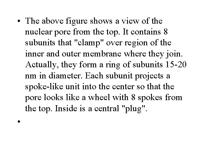  • The above figure shows a view of the nuclear pore from the