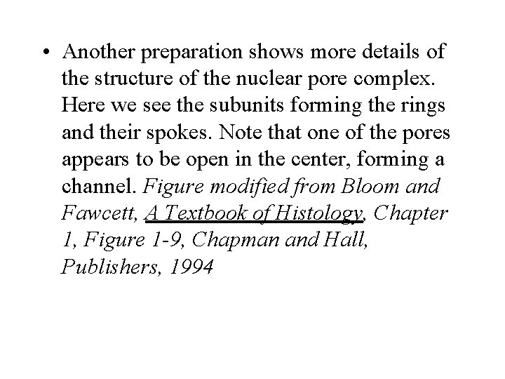  • Another preparation shows more details of the structure of the nuclear pore