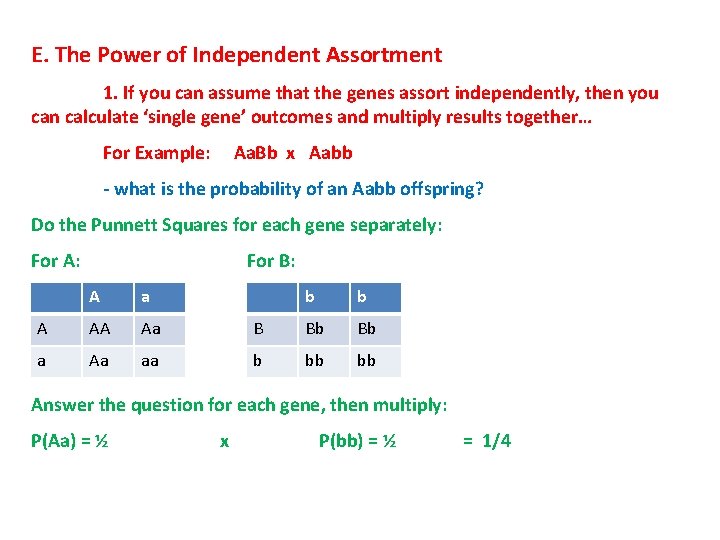 E. The Power of Independent Assortment 1. If you can assume that the genes