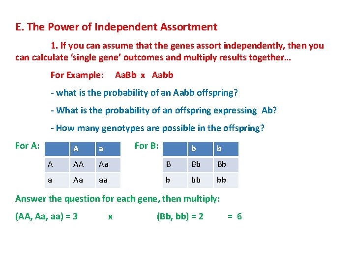 E. The Power of Independent Assortment 1. If you can assume that the genes