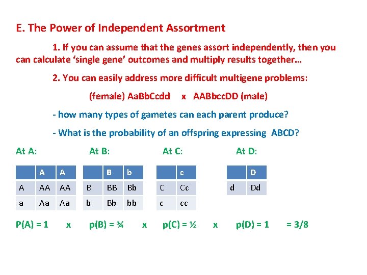 E. The Power of Independent Assortment 1. If you can assume that the genes