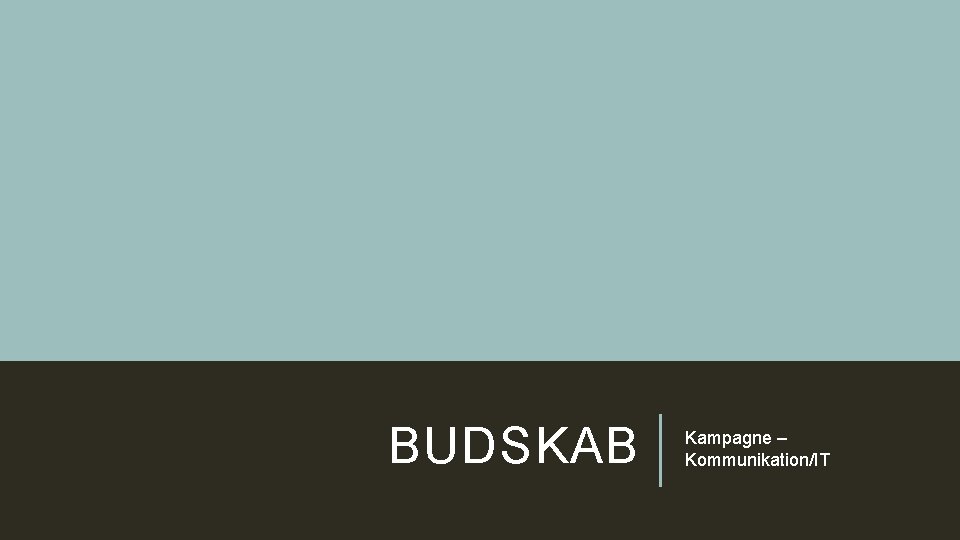 BUDSKAB Kampagne – Kommunikation/IT 