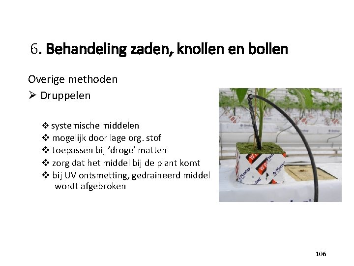 6. Behandeling zaden, knollen en bollen Overige methoden Ø Druppelen v systemische middelen v