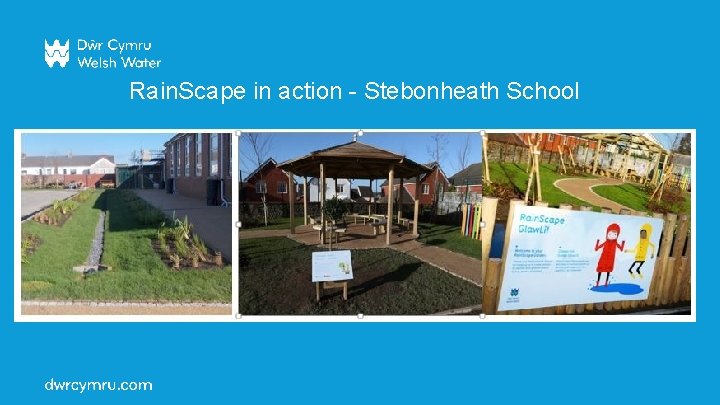 Rain. Scape in action - Stebonheath School Rain. Scape in action - Stebonheath School
