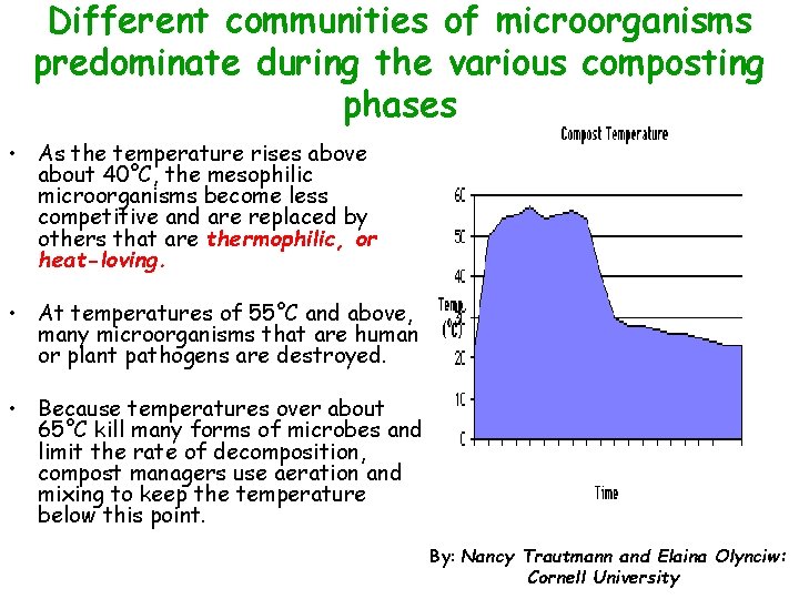 Different communities of microorganisms predominate during the various composting phases • As the temperature