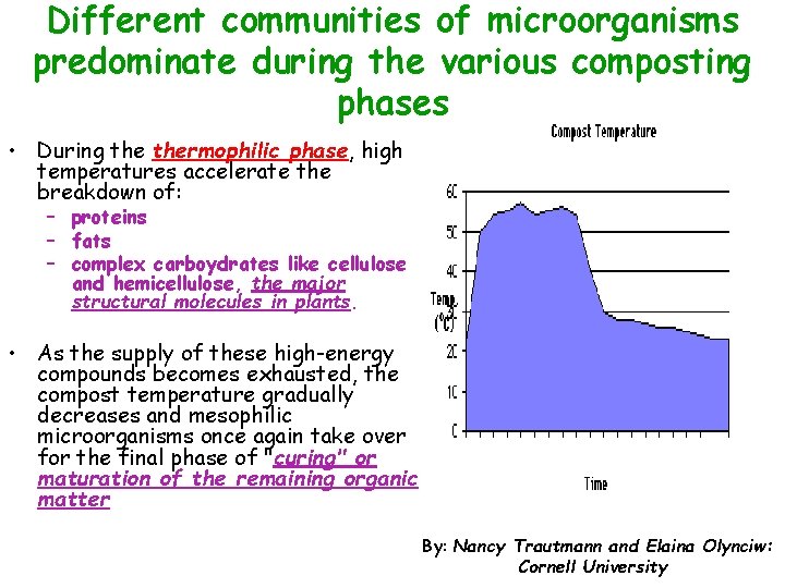 Different communities of microorganisms predominate during the various composting phases • During thermophilic phase,