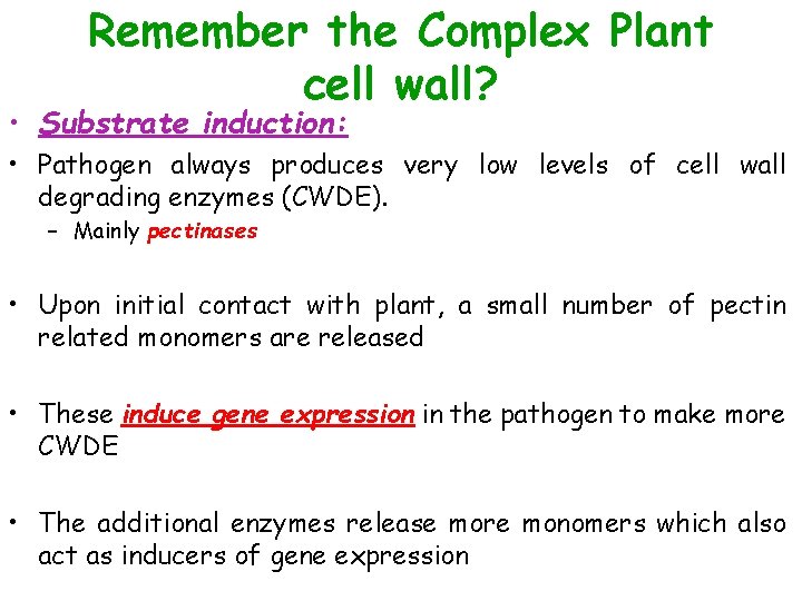 Remember the Complex Plant cell wall? • Substrate induction: • Pathogen always produces very
