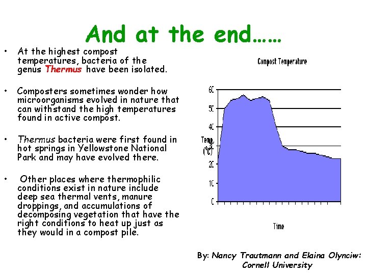And at the end…… • At the highest compost temperatures, bacteria of the genus