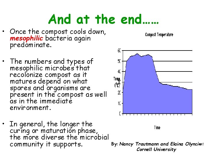 And at the end…… • Once the compost cools down, mesophilic bacteria again predominate.