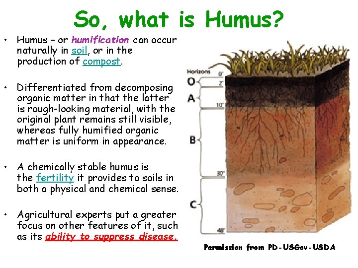 So, what is Humus? • Humus – or humification can occur naturally in soil,