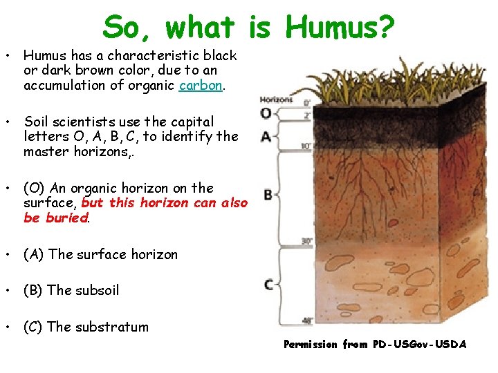 So, what is Humus? • Humus has a characteristic black or dark brown color,