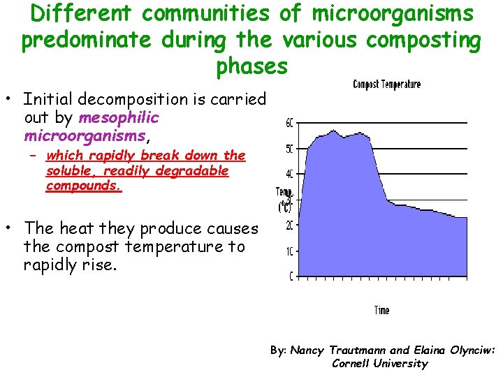 Different communities of microorganisms predominate during the various composting phases • Initial decomposition is