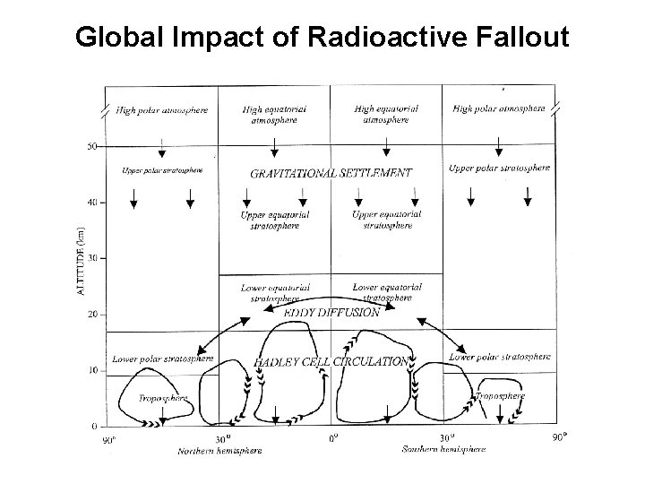 Global Impact of Radioactive Fallout 