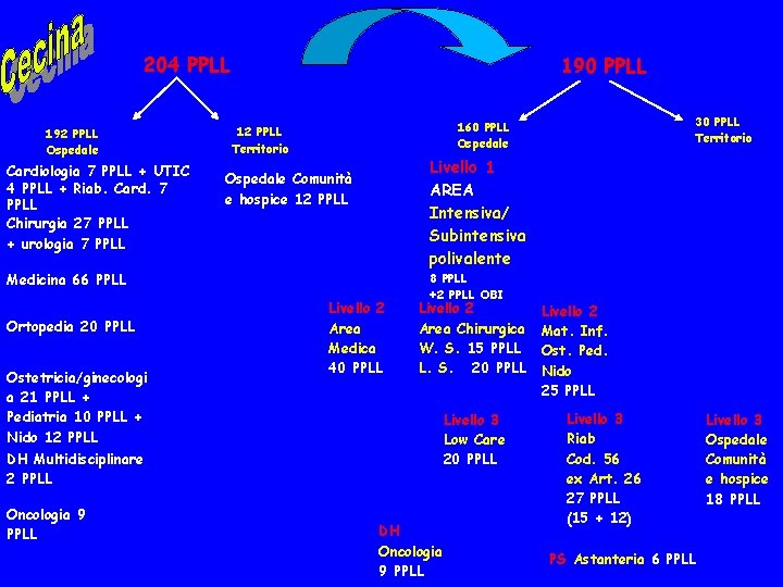 204 PPLL 192 PPLL Ospedale Cardiologia 7 PPLL + UTIC 4 PPLL + Riab.