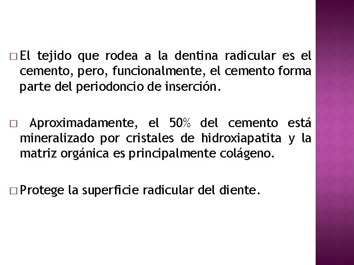 � El tejido que rodea a la dentina radicular es el cemento, pero, funcionalmente,