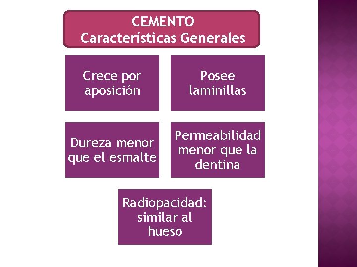 CEMENTO Características Generales Crece por aposición Posee laminillas Dureza menor que el esmalte Permeabilidad