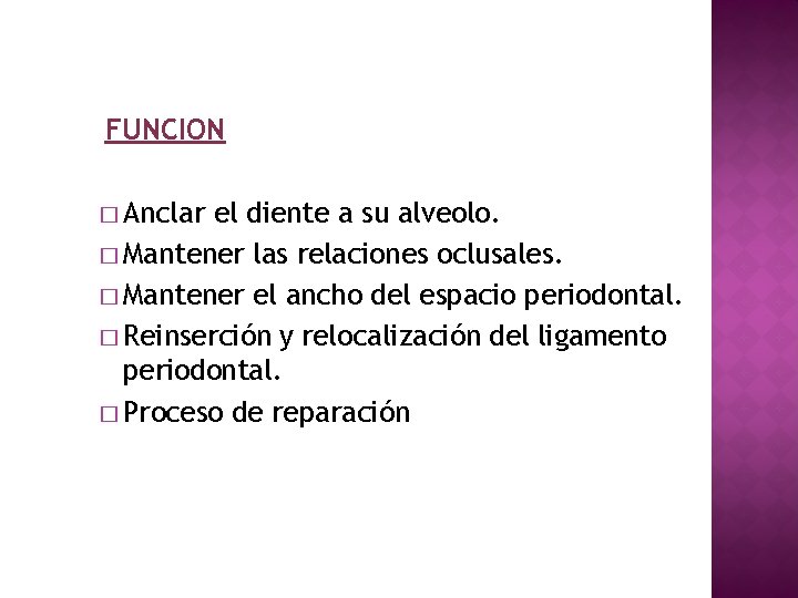 FUNCION � Anclar el diente a su alveolo. � Mantener las relaciones oclusales. �