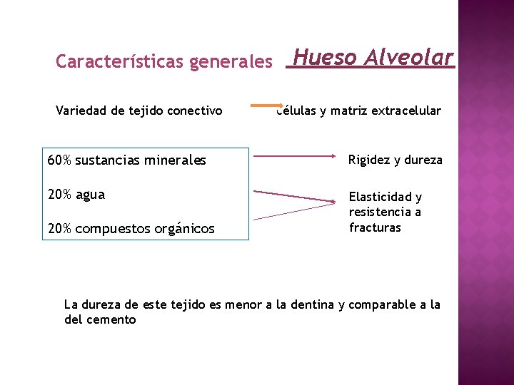 Características generales Variedad de tejido conectivo Hueso Alveolar células y matriz extracelular 60% sustancias