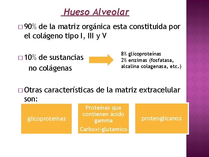 Hueso Alveolar � 90% de la matriz orgánica esta constituida por el colágeno tipo