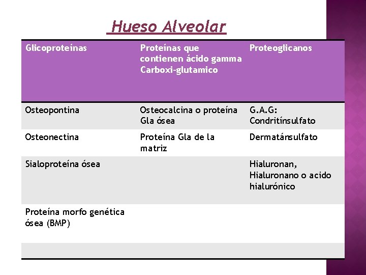 Hueso Alveolar Glicoproteínas Proteínas que Proteoglicanos contienen ácido gamma Carboxi-glutamico Osteopontina Osteocalcina o proteína