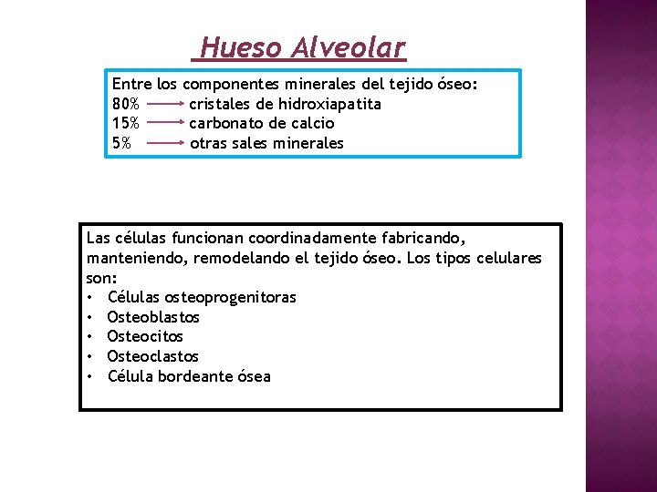 Hueso Alveolar Entre los componentes minerales del tejido óseo: 80% cristales de hidroxiapatita 15%