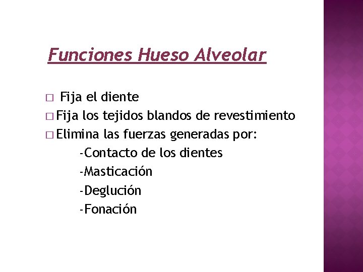 Funciones Hueso Alveolar Fija el diente � Fija los tejidos blandos de revestimiento �