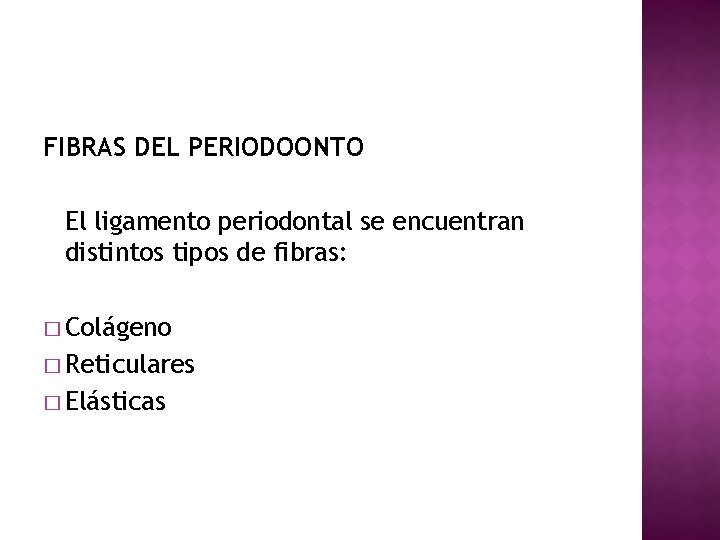 FIBRAS DEL PERIODOONTO El ligamento periodontal se encuentran distintos tipos de fibras: � Colágeno