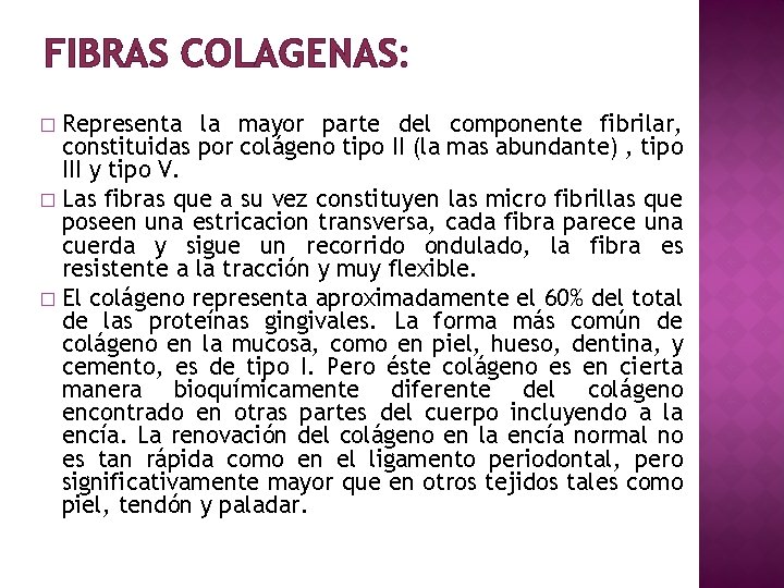 FIBRAS COLAGENAS: Representa la mayor parte del componente fibrilar, constituidas por colágeno tipo II