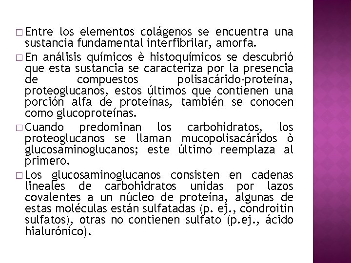 � Entre los elementos colágenos se encuentra una sustancia fundamental interfibrilar, amorfa. � En