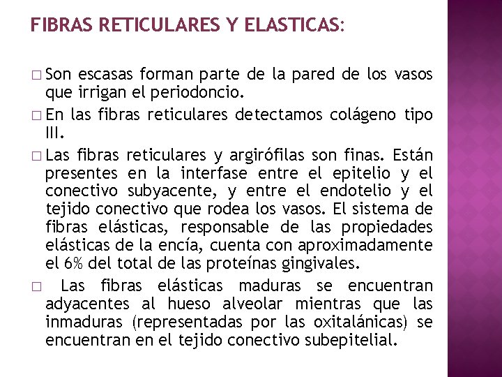 FIBRAS RETICULARES Y ELASTICAS: � Son escasas forman parte de la pared de los