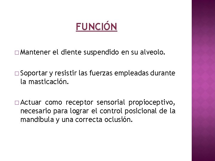 FUNCIÓN � Mantener el diente suspendido en su alveolo. � Soportar y resistir las