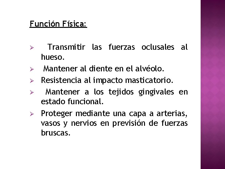 Función Física: Ø Ø Ø Transmitir las fuerzas oclusales al hueso. Mantener al diente