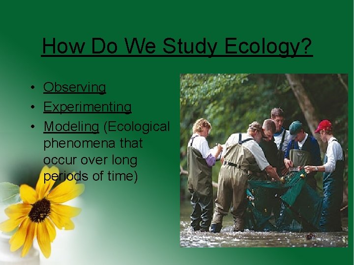 How Do We Study Ecology? • Observing • Experimenting • Modeling (Ecological phenomena that