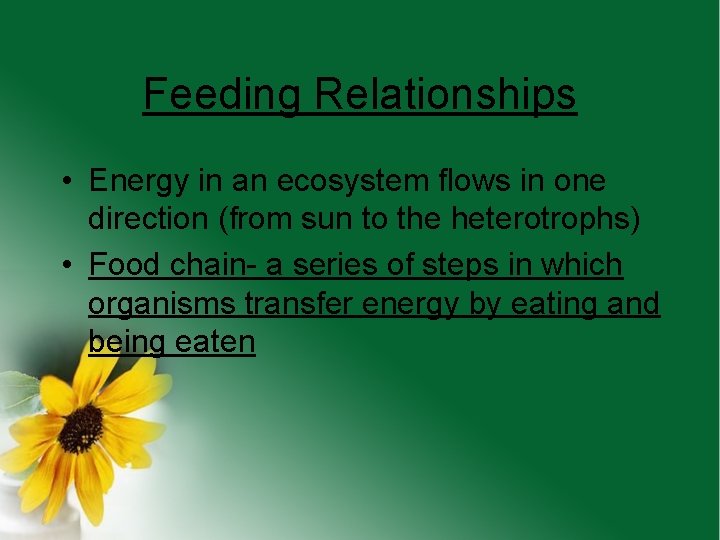 Feeding Relationships • Energy in an ecosystem flows in one direction (from sun to