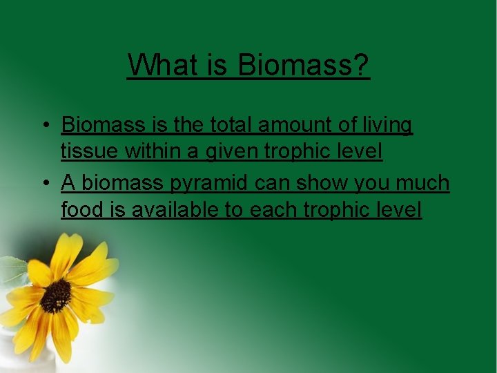 What is Biomass? • Biomass is the total amount of living tissue within a