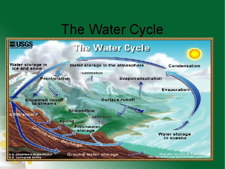 The Water Cycle 