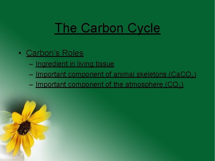 The Carbon Cycle • Carbon’s Roles – Ingredient in living tissue – Important component