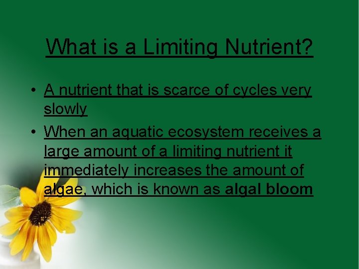 What is a Limiting Nutrient? • A nutrient that is scarce of cycles very