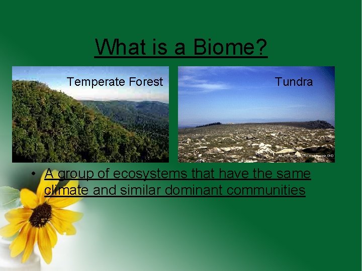 What is a Biome? Temperate Forest Tundra • A group of ecosystems that have